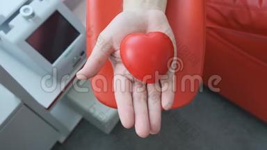 红胶心在一手.. 人手在捐献静脉血。 抓住挤压应力球。 献血概念